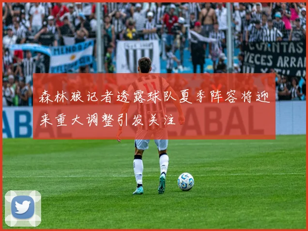 森林狼记者透露球队夏季阵容将迎来重大调整引发关注